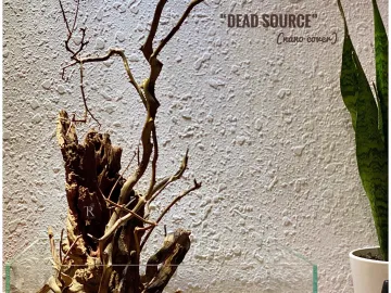 "Dead Source" (nano cover)